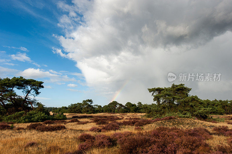 De Hoge Veluwe国家公园上空的彩虹和云彩